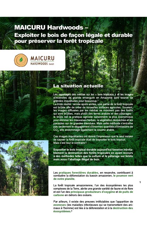 MAICURU legal and sustainable logging FR